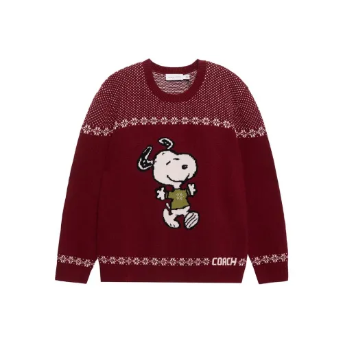 COACH X SNOOPY FW22 Свитер Мужской Красный