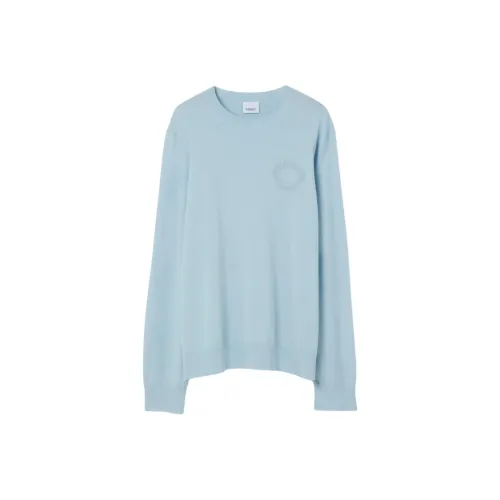 Burberry FW22 Трикотаж Мужской Утка Яйцо Синий