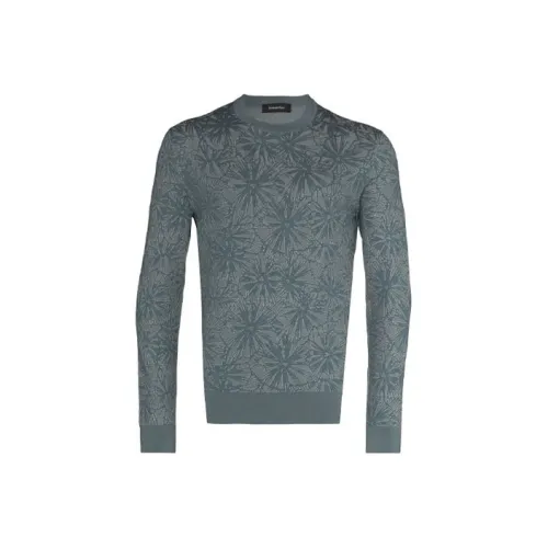 Ermenegildo Zegna Серые Мужские Свитера