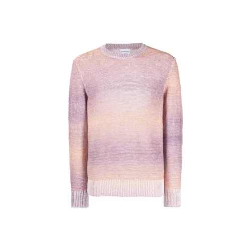 Ferragamo Фиолетовые Мужские Свитера