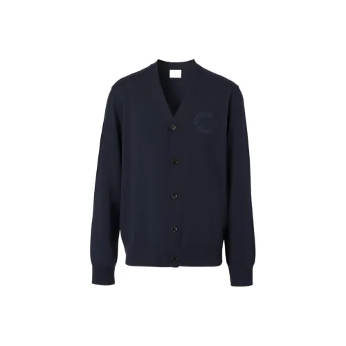 Burberry FW22 Трикотаж Мужской Темно-синий