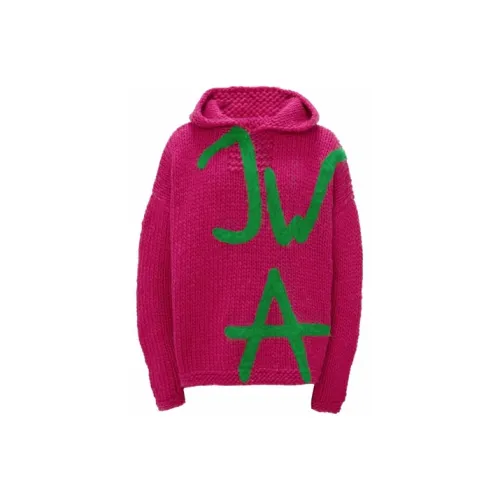 JW Anderson Фиолетовые Мужские Свитера
