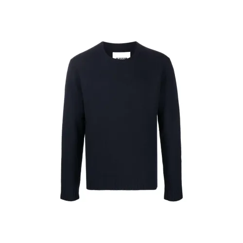JIL SANDER Синие Мужские Свитера