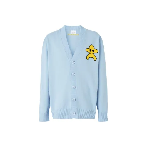 Burberry FW22 Трикотаж Мужской Светло-Синий