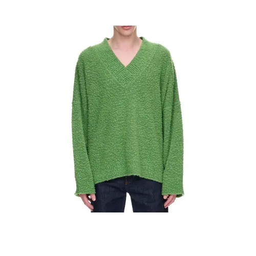 LOEWE Совместное издание Зеленые Мужские Свитера