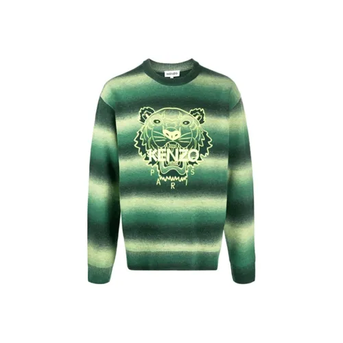 KENZO Зеленые Мужские Свитера