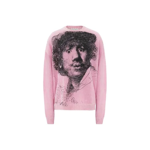 JW Anderson Розовые Мужские Свитера