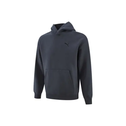 PUMA Темно-серый Унисекс Толстовки