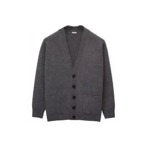 LOEWE Совместное издание SS23 Серый Мужской Свитеры