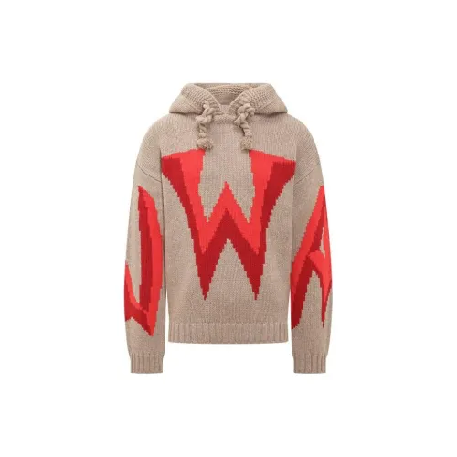 JW Anderson Тауповые Мужские Свитера