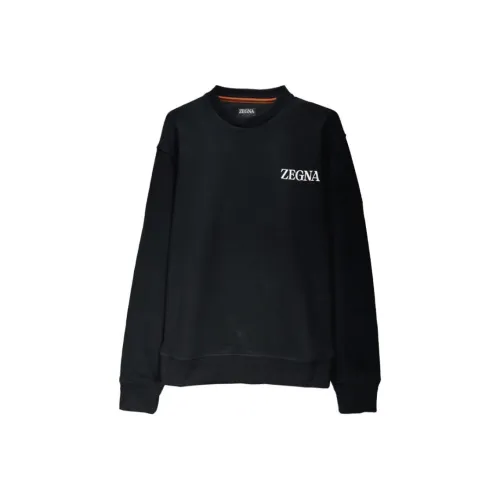 Ermenegildo Zegna Черные Мужские Толстовки