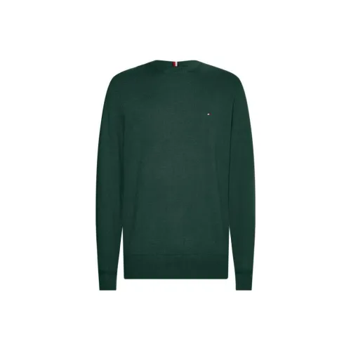 Tommy Hilfiger Зеленые Мужские Свитера