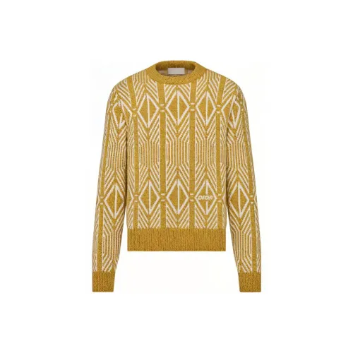 DIOR Желтые Мужские Свитера