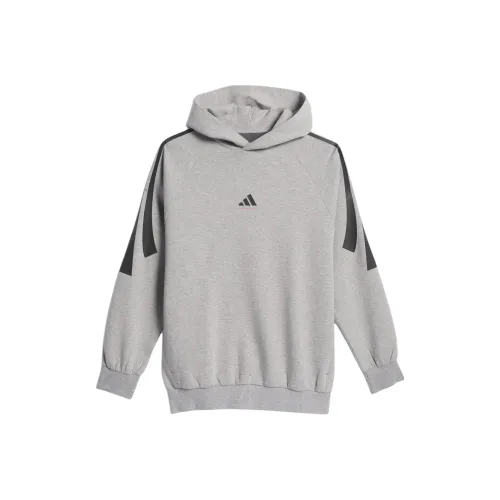 Adidas Баскетбол Серый Унисекс Свитшоты