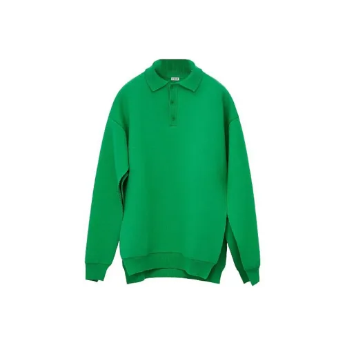 LOEWE Совместное издание Зеленые Мужские Свитера