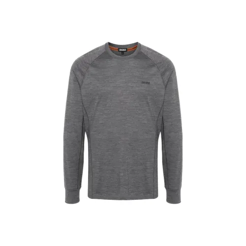Ermenegildo Zegna Серые Мужские Свитера