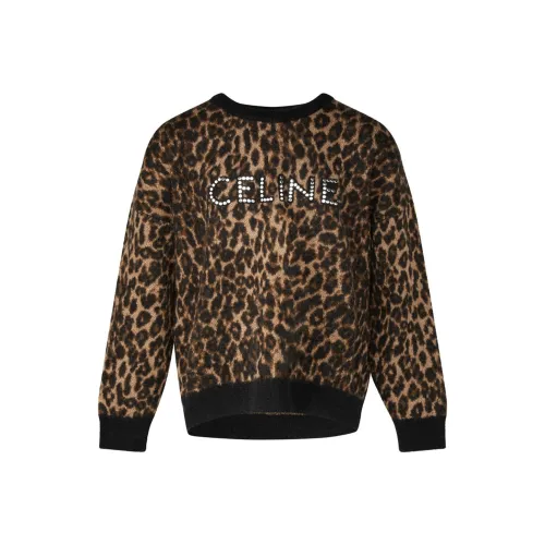 CELINE SS23 Свитер Мужской Коричневый