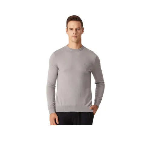 HECHTER Мужские Свитера