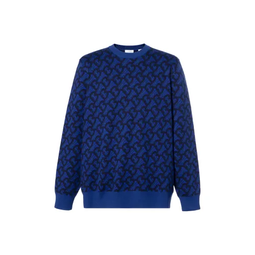 Burberry Шерсть Трикотажная ткань Свитер Мужской Королевский синий 80481121