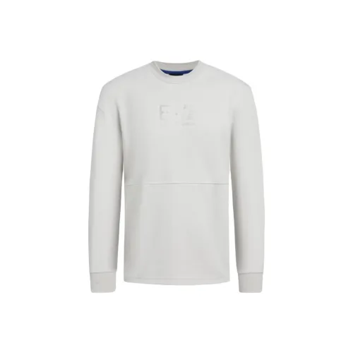 EMPORIO ARMANI EA7 FW24 Толстовка Мужской Серый