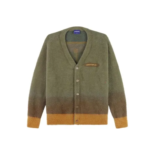 CHIGGALAB Коричнево-зеленый Унисекс Свитеры