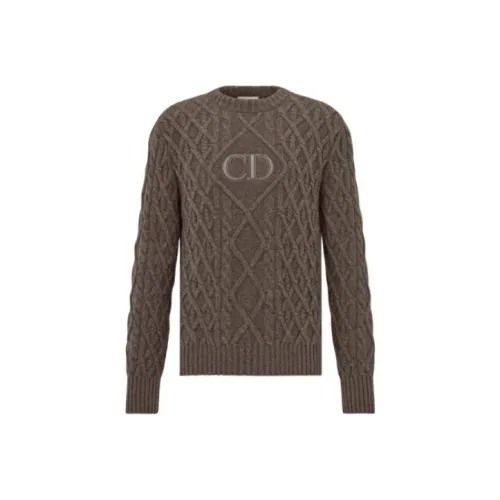 DIOR Коричневый Мужской Кашемировые Свитера