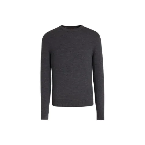 Ermenegildo Zegna Серые Мужские Свитера