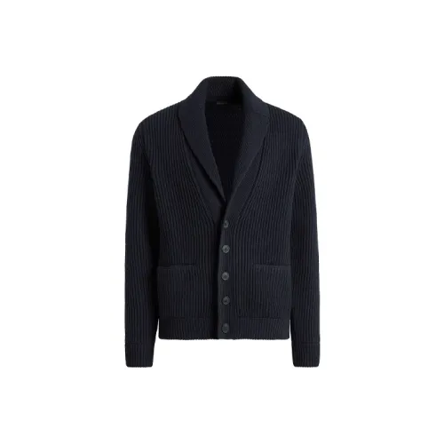Ermenegildo Zegna Синий Мужской Кашемировые Свитера