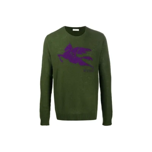 ETRO Зеленые Мужские Свитера