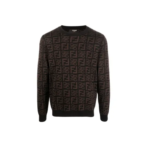 FENDI Коричневые Мужские Свитера