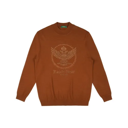 Raidy Boer Мужские Свитера