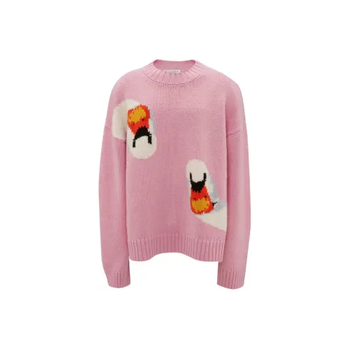 JW Anderson Розовый Унисекс Свитеры