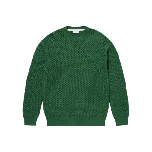 LACOSTE Зеленые Мужские Свитера