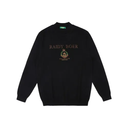 Raidy Boer Мужские Свитера