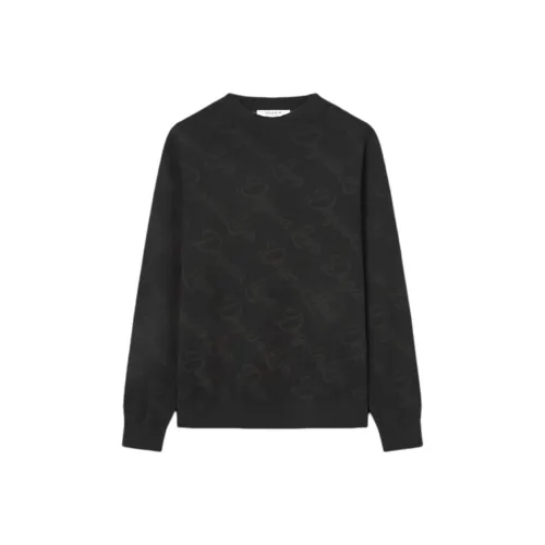 DEGAIA Мужские Свитера