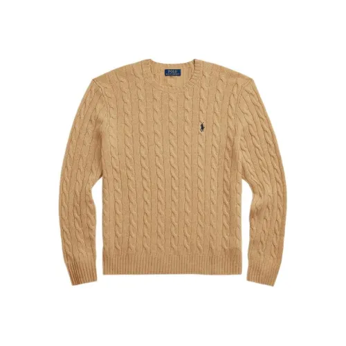 Polo Ralph Lauren FW22 Трикотаж Мужской Коричневый