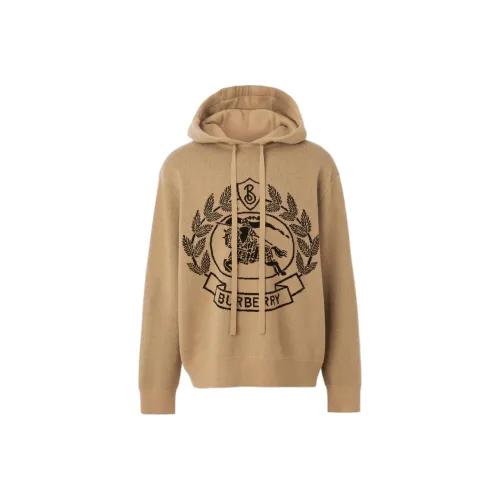 Burberry Мужские Свитера