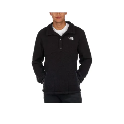THE NORTH FACE Parkview 1 4 Snap Fleece Свитшот Мужской Черный