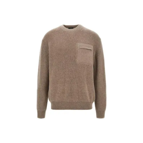 Ermenegildo Zegna Коричневые Мужские Свитера