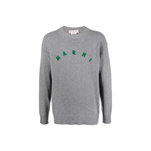 MARNI Серый Мужской Кашемировый Свитер