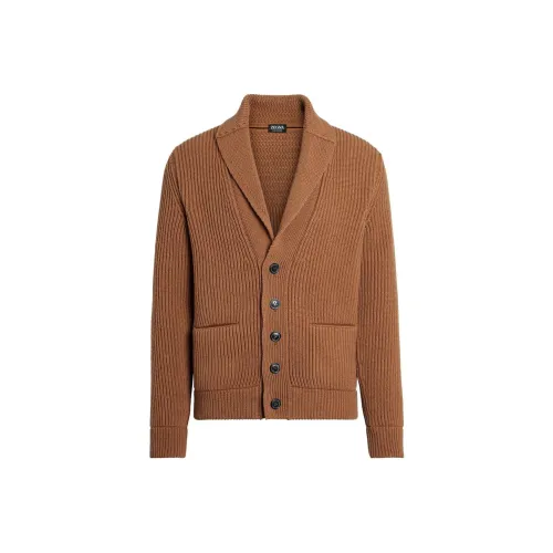 Ermenegildo Zegna Коричневый Мужской Кашемировые Свитера