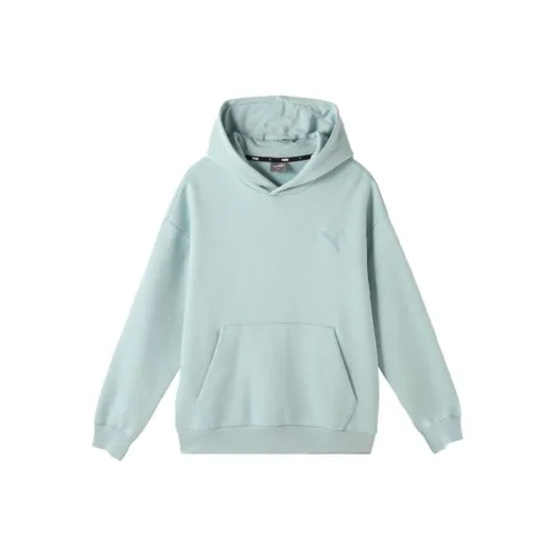 PUMA Тропический Озерно-голубой Мужской Свитшот