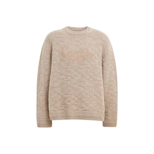 COACH FW24 Свитер Мужской Светлый Умбра