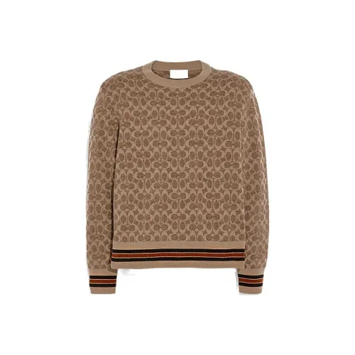COACH Коричневый Мужской Свитеры