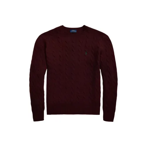 Polo Ralph Lauren FW22 Трикотаж Мужской Красный Коричневый