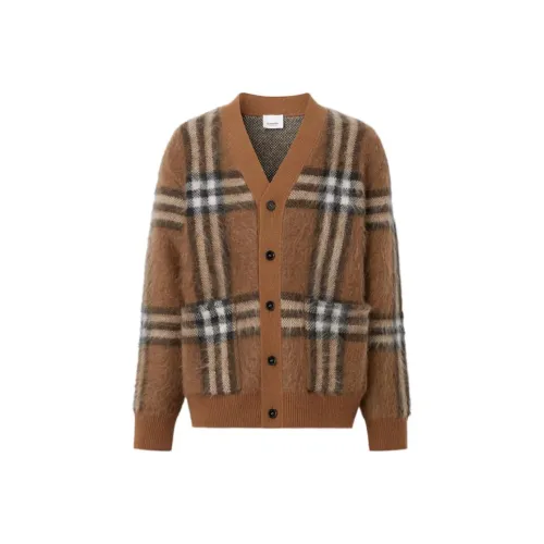 Burberry FW22 Трикотаж Мужской Коричневый