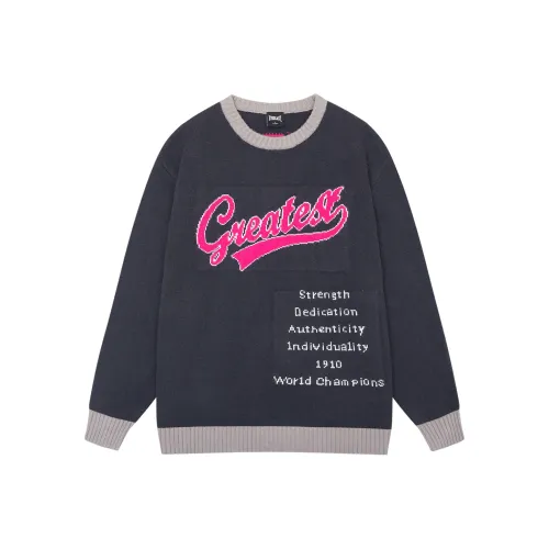 EVERLAST Серый Унисекс Свитеры