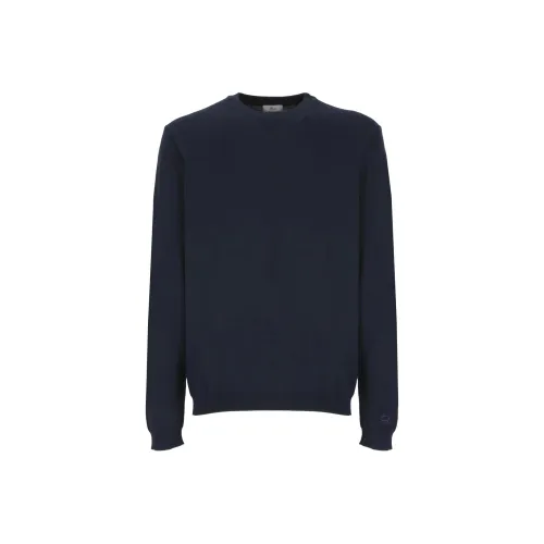 WOOLRICH Синие Мужские Свитера