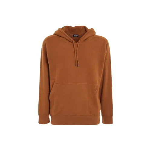 Ermenegildo Zegna Коричневые Мужские Свитера