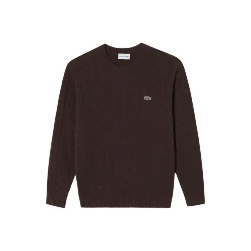 Свитеры для мужчин LACOSTE Collaboration коричневого цвета